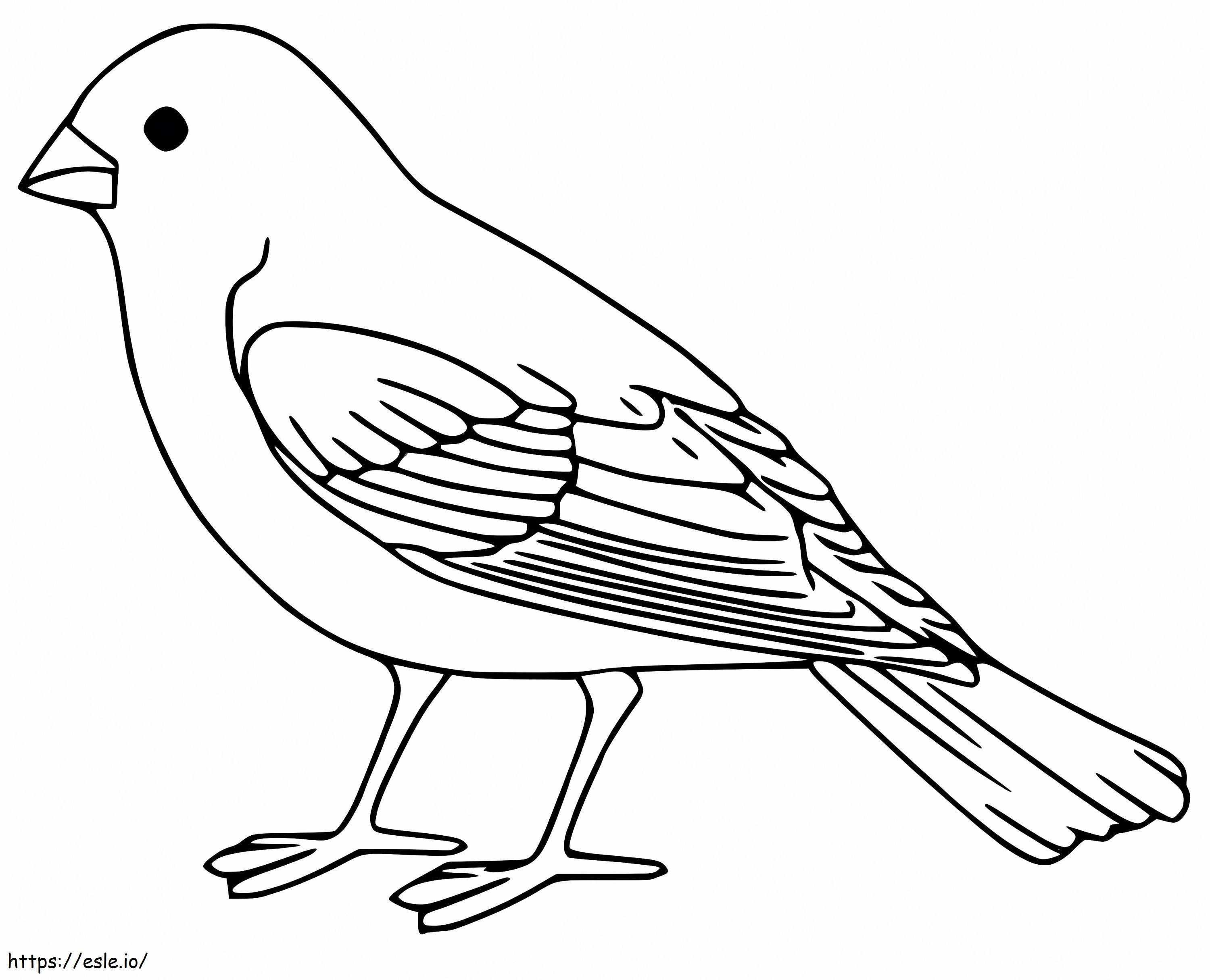 Standing Sparrow coloring page