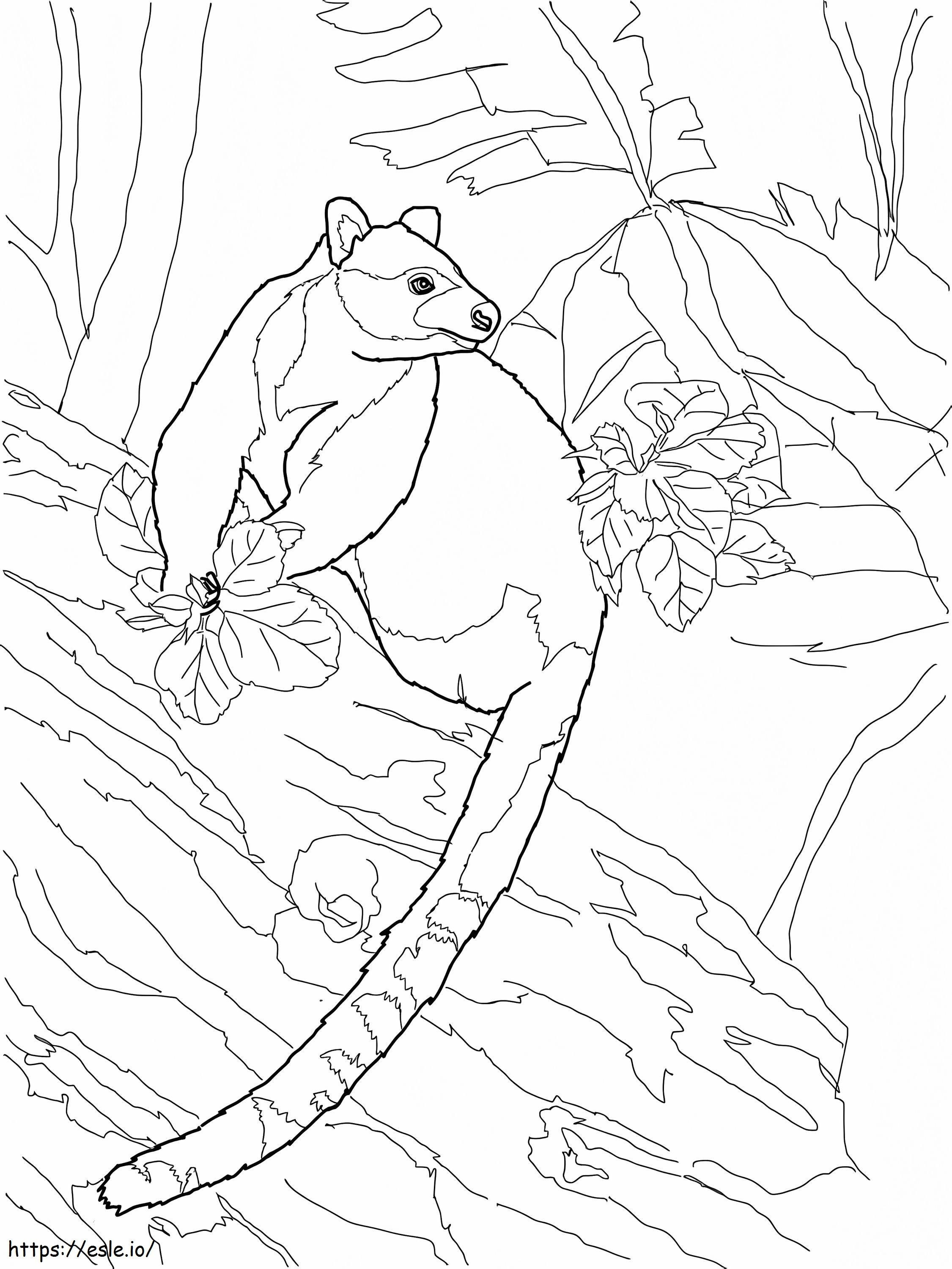 Coloriage Kangourou arboricole Goodfellows à imprimer dessin