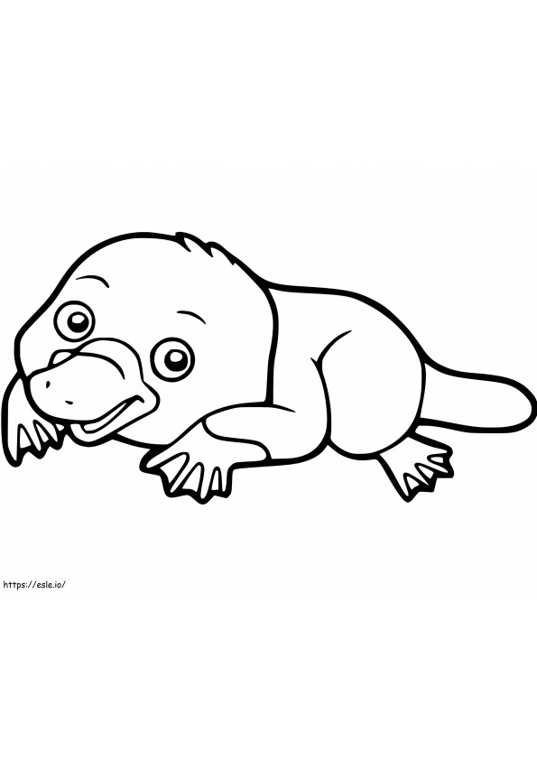 Baby Platypus coloring page