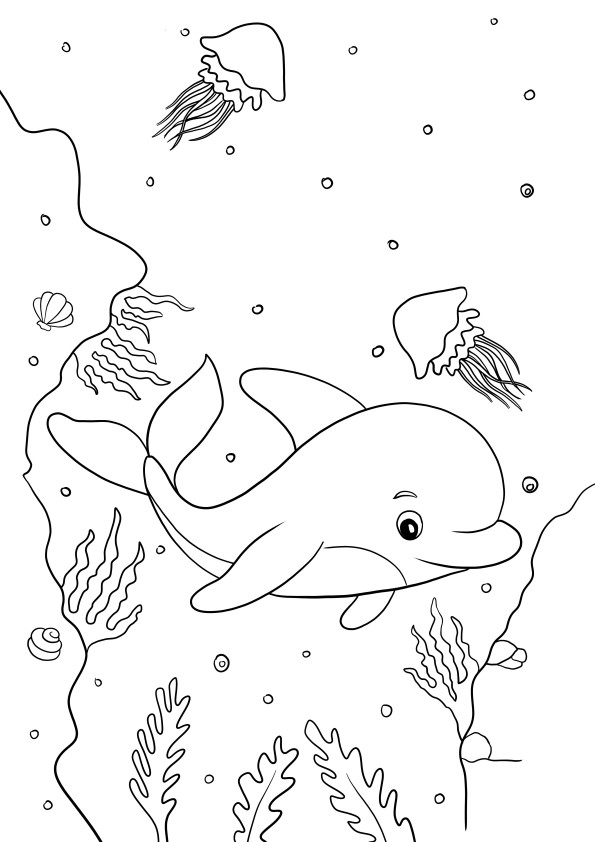 Cute dolphin to color and free to print for kids