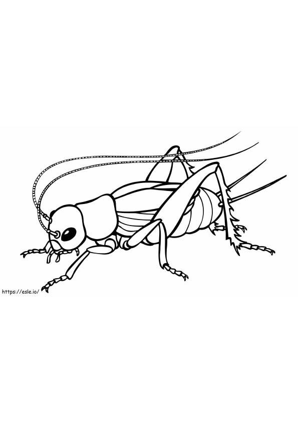 Basis cricket kleurplaat