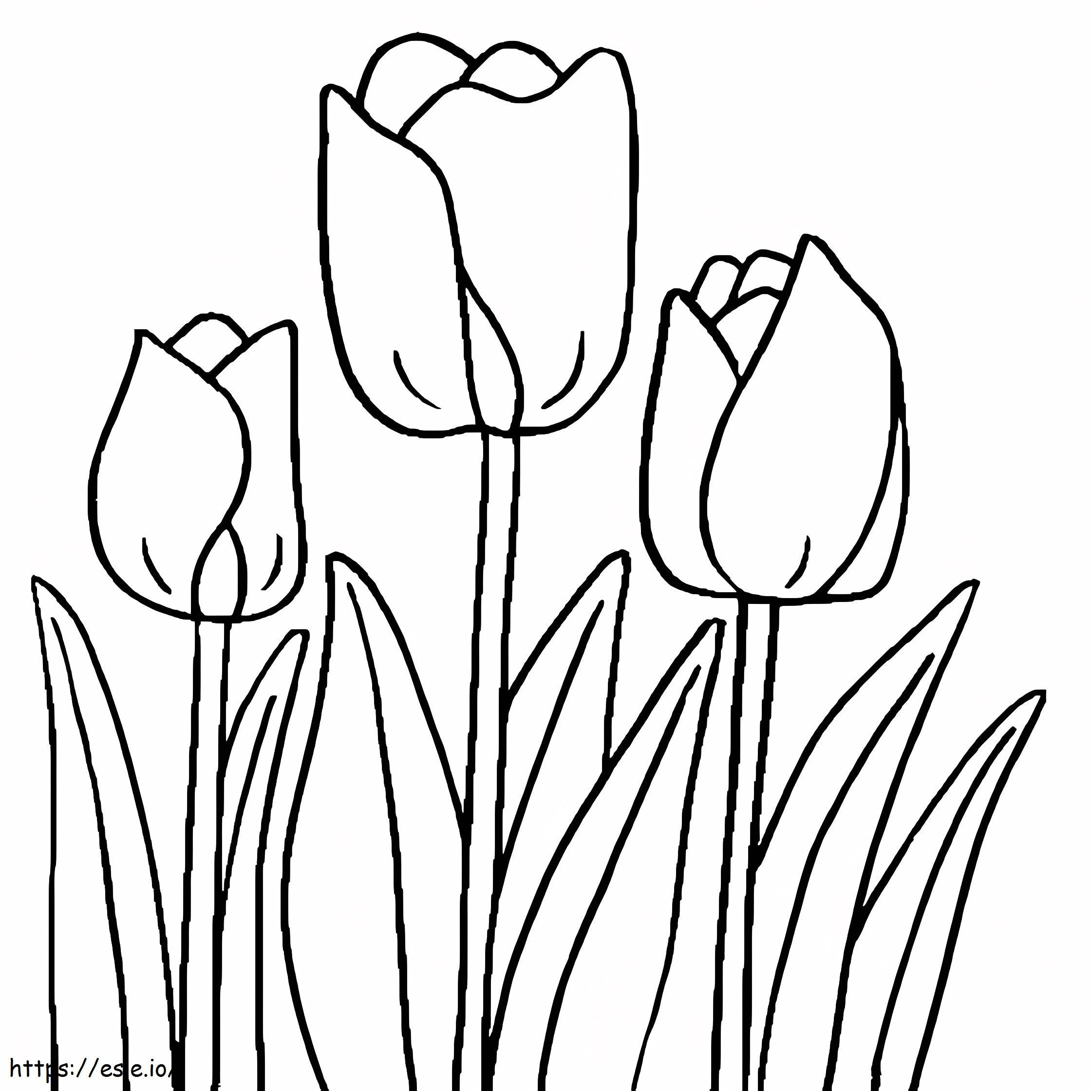 Coloriage Tulipe Normale à imprimer dessin