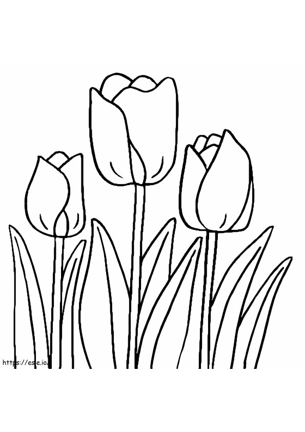 Coloriage Tulipe Normale à imprimer dessin
