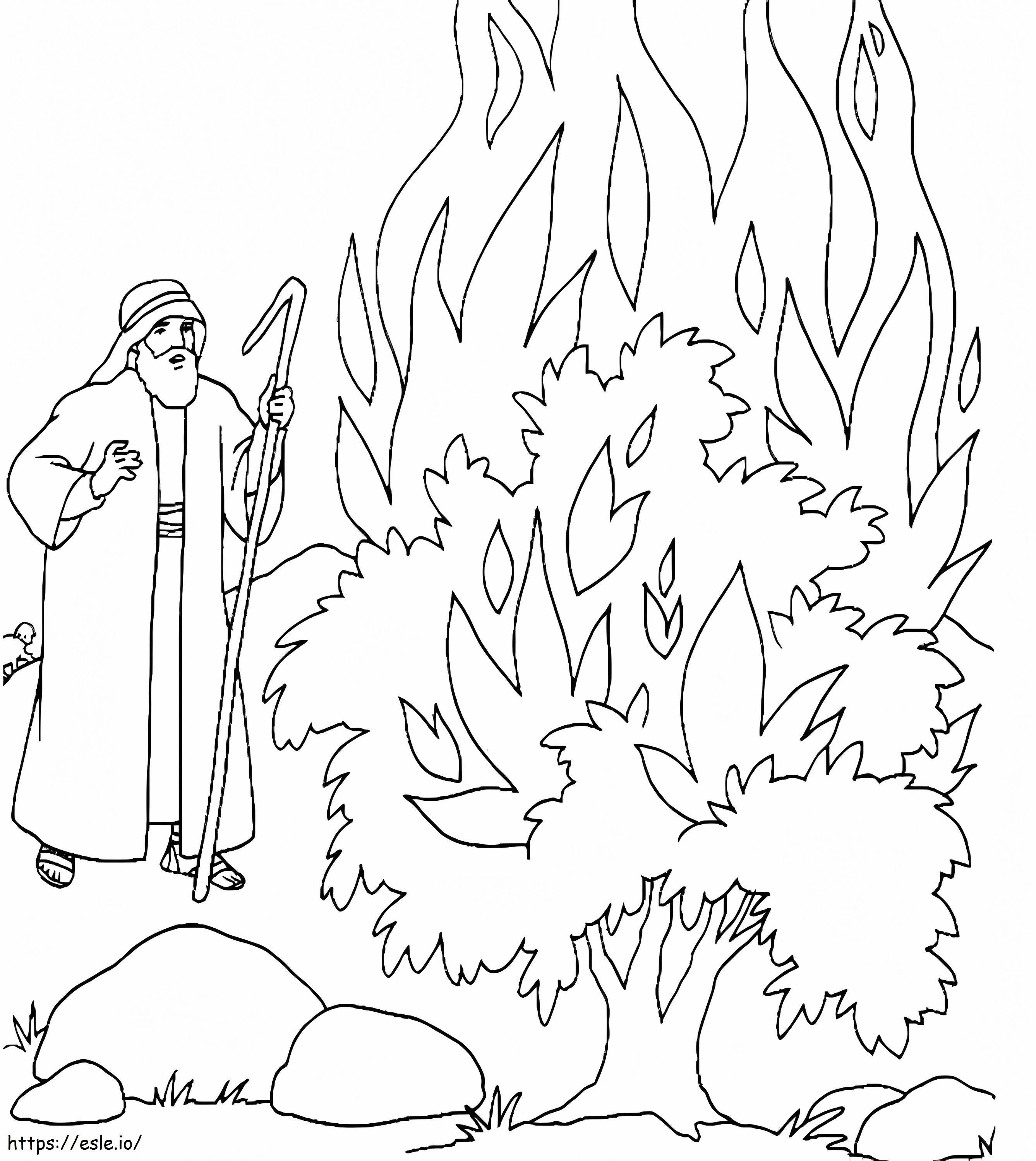 Burning Bush 1 coloring page