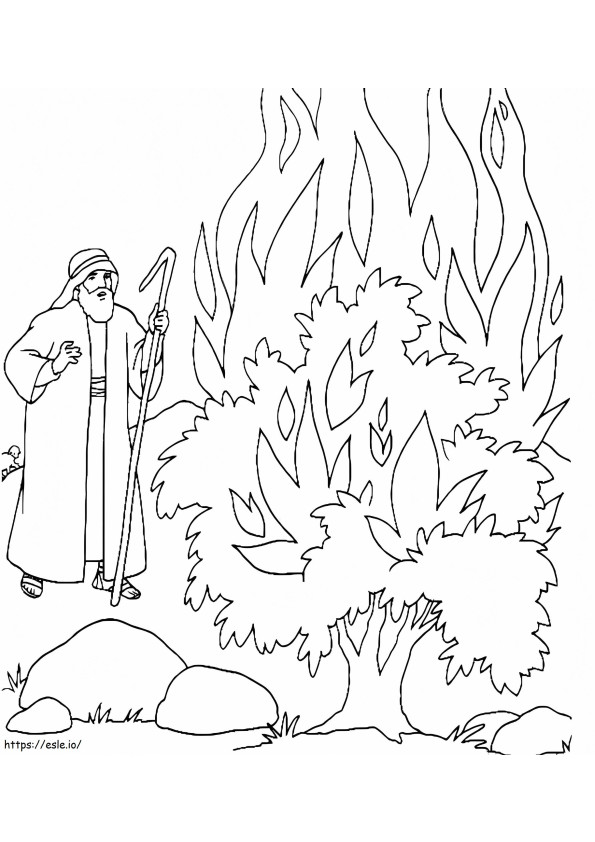 Burning Bush 1 coloring page