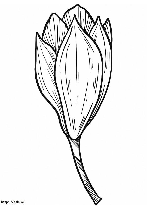 Magnolia Flower 8 coloring page