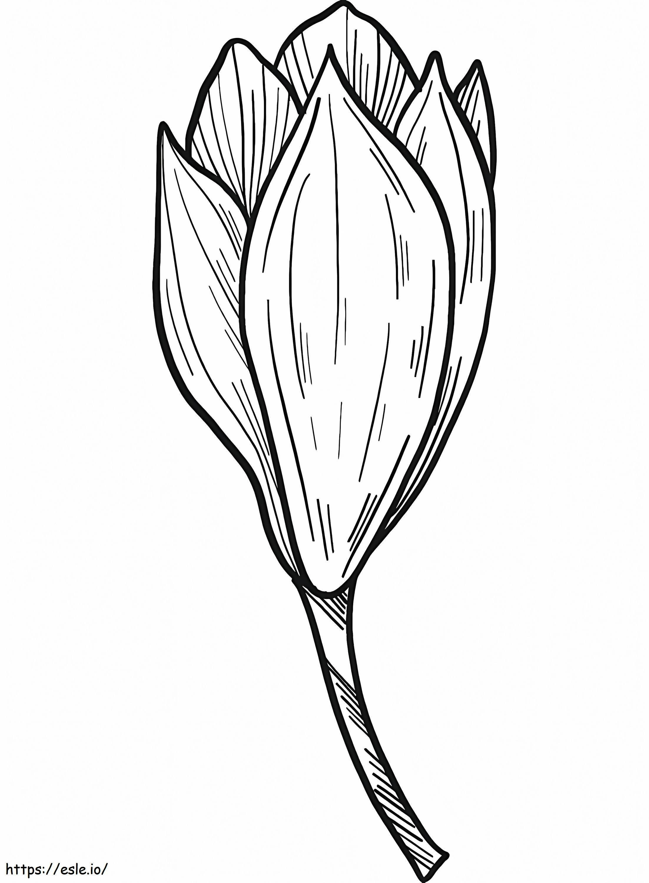 Magnolia Flower 8 Coloring Page - Free Printable for Adults and Kids