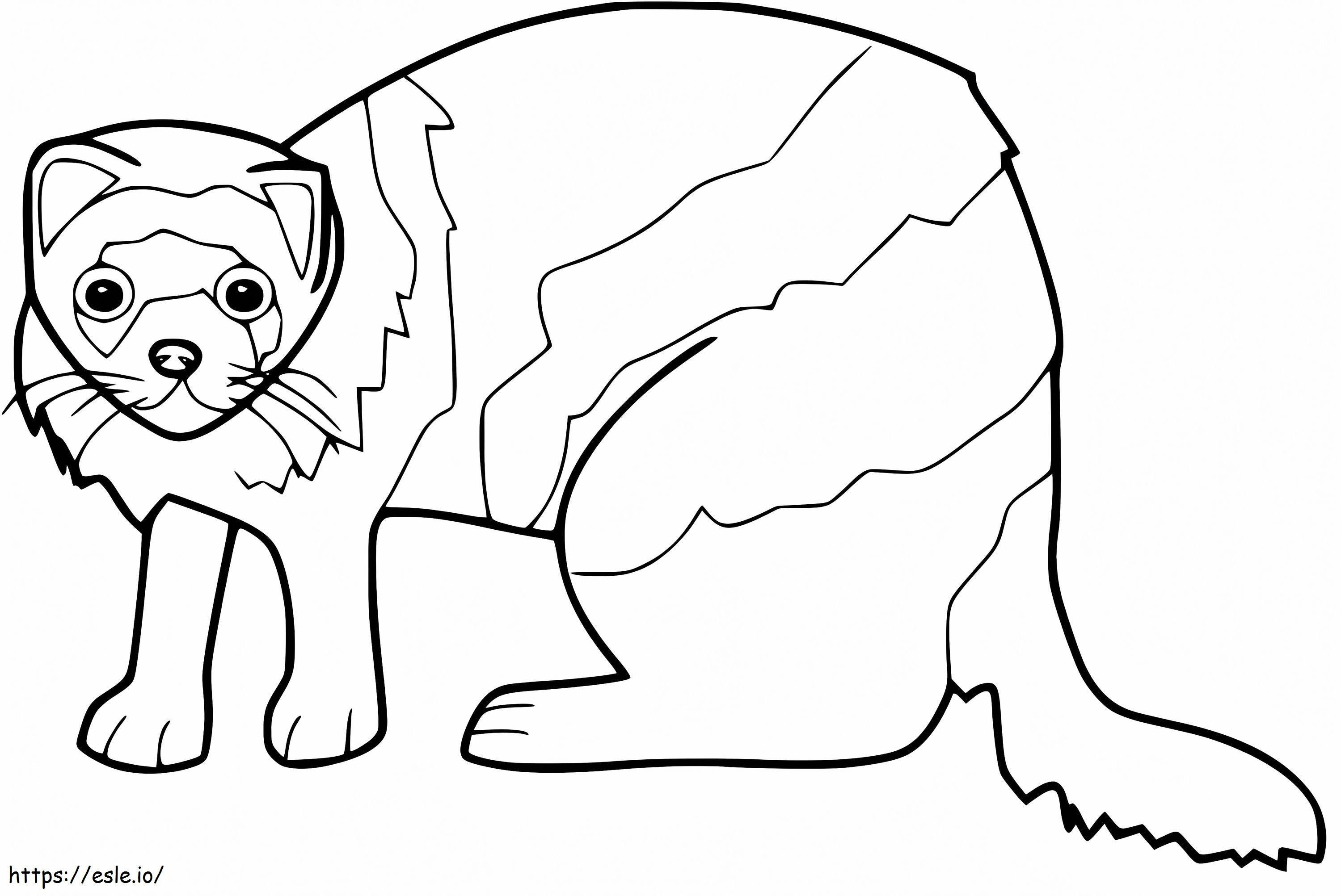 Ferret 13 coloring page