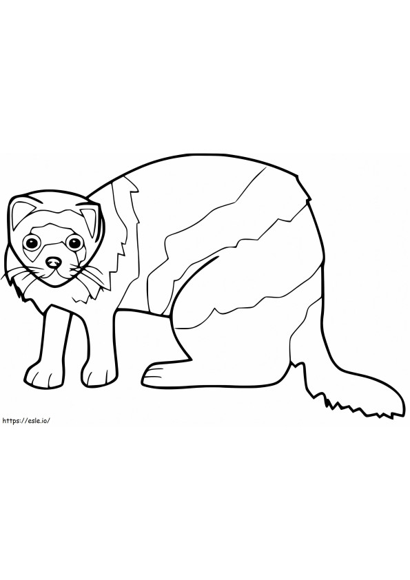 Ferret 13 coloring page