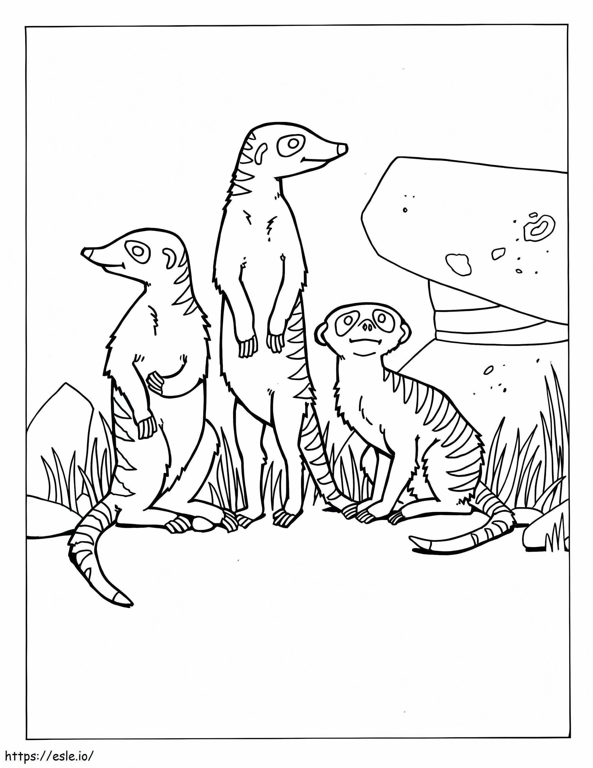 Tre simpatici suricati da colorare