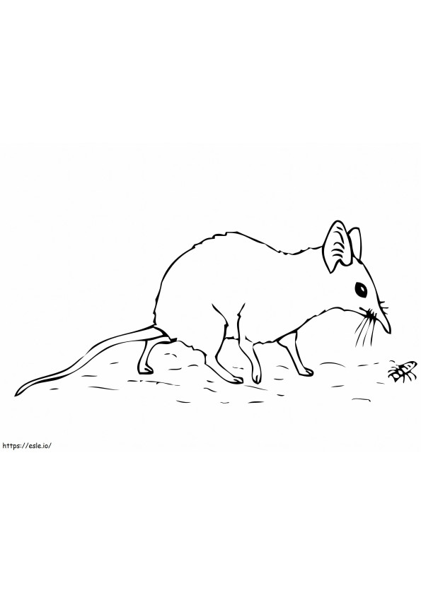 Jumping Shrew coloring page
