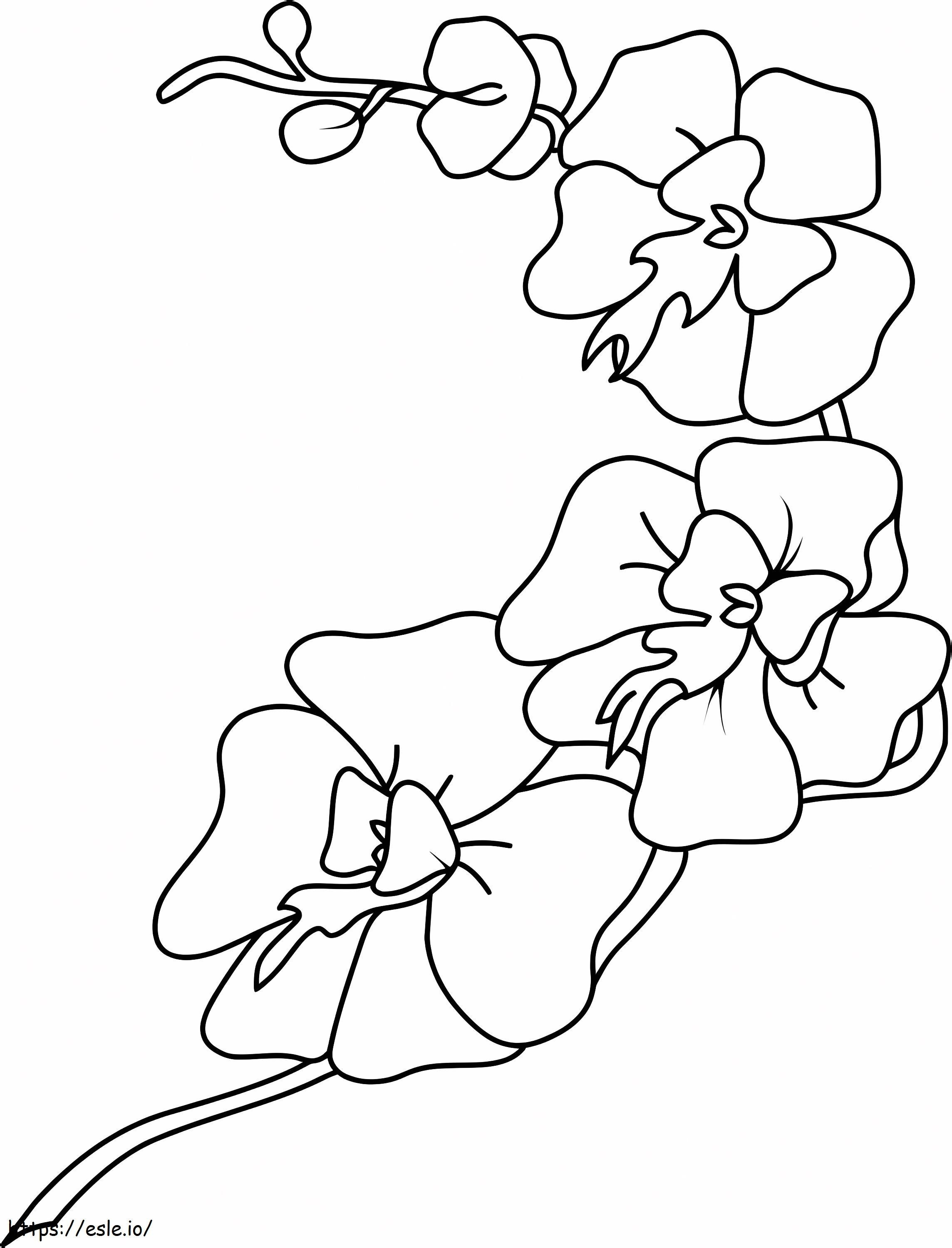Ihana orkidea värityskuva