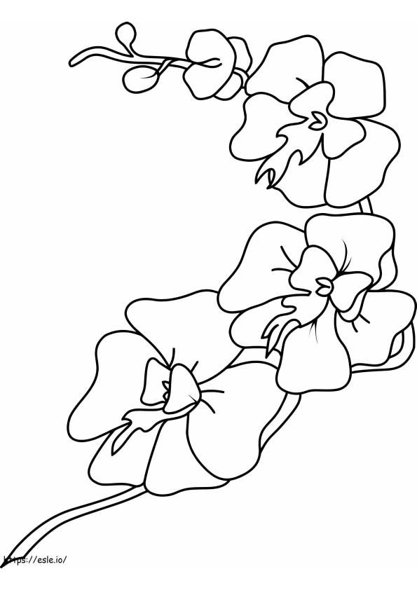 Linda orquídea para colorir