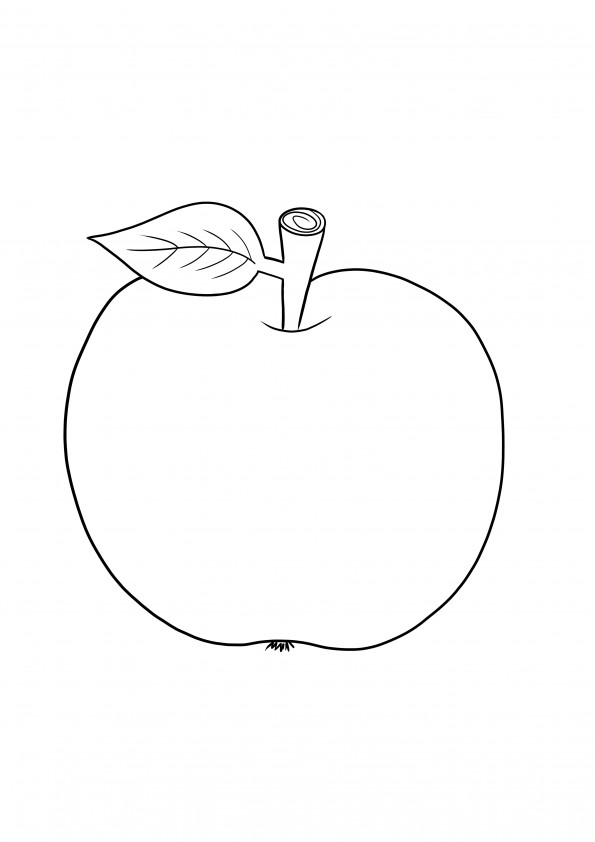 Ein einfaches Ausmalbild eines Apfels und seiner Blätter und Stiele, die Sie kostenlos ausdrucken können