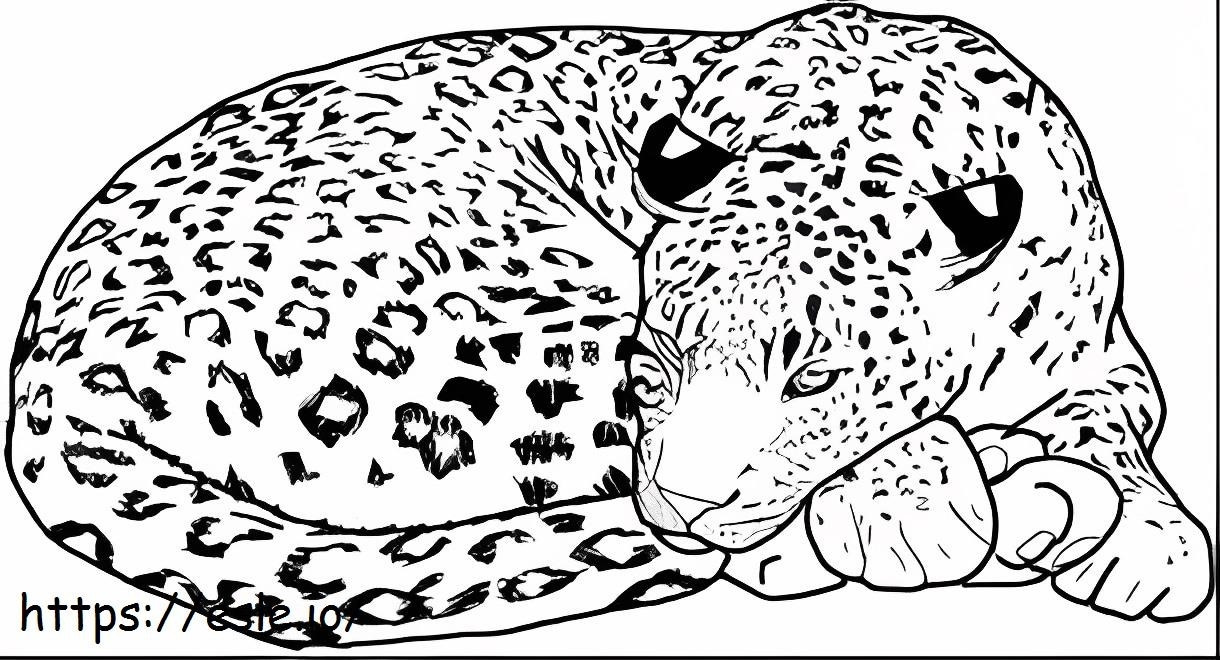 Leopardo básico tumbado para colorear