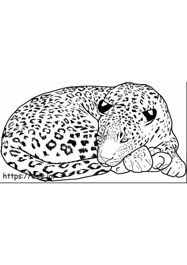 Leopardo di base sdraiato da colorare