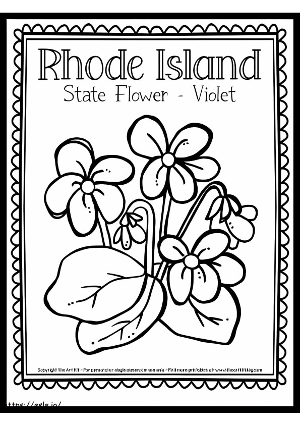 Flor do estado de Rhode Island para colorir