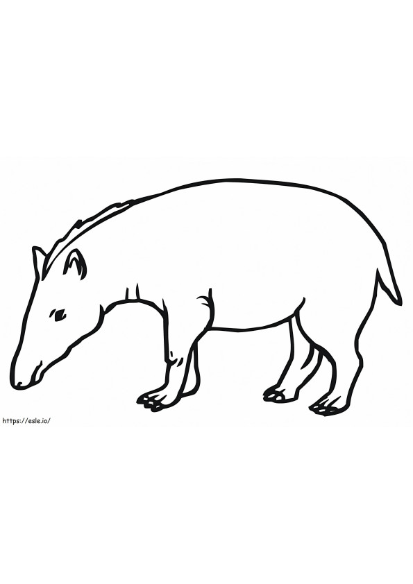 Tapir górski