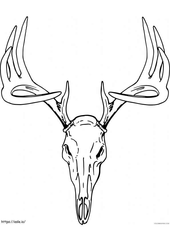 Skull Deer coloring page
