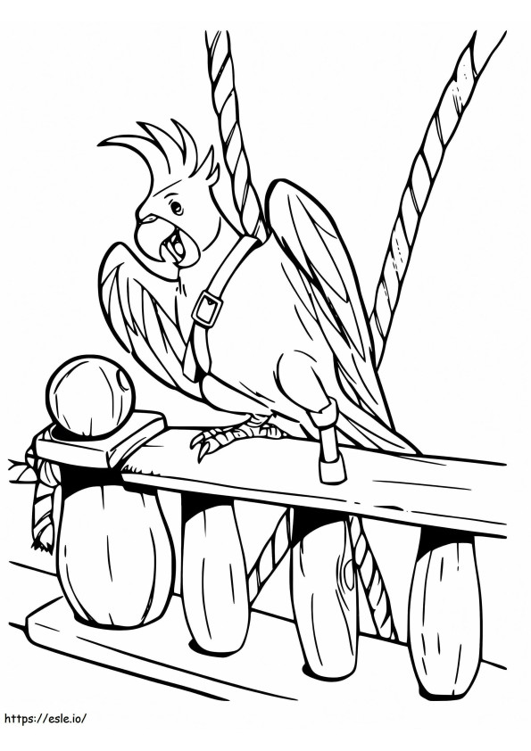 Pirate Cockatiel