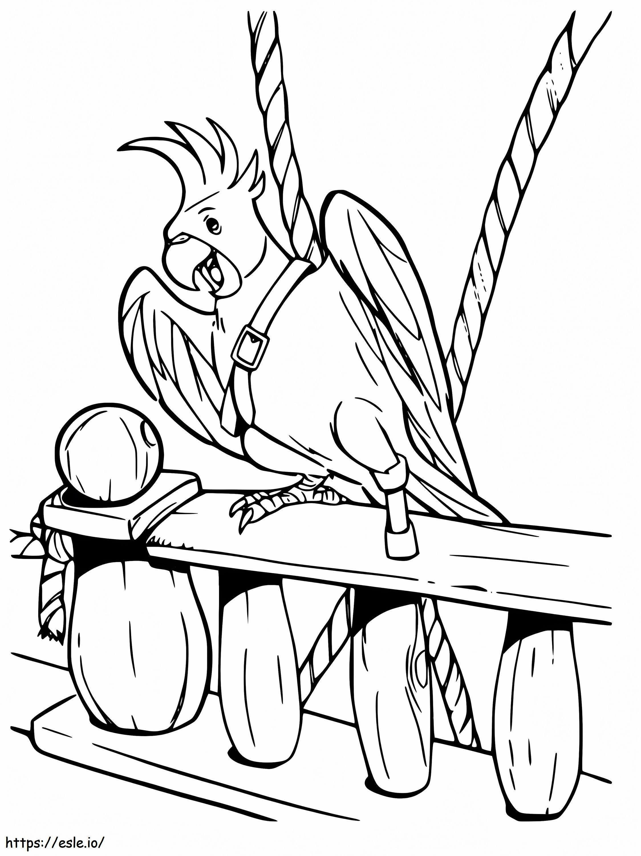 Desenho da Calopsita Pirata para Colorir e Imprimir