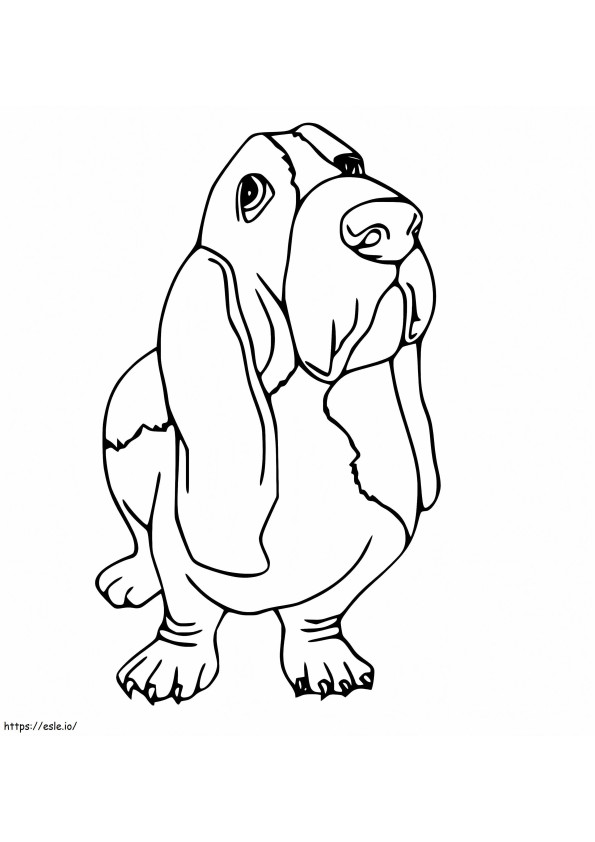 Cute Basset Hound coloring page