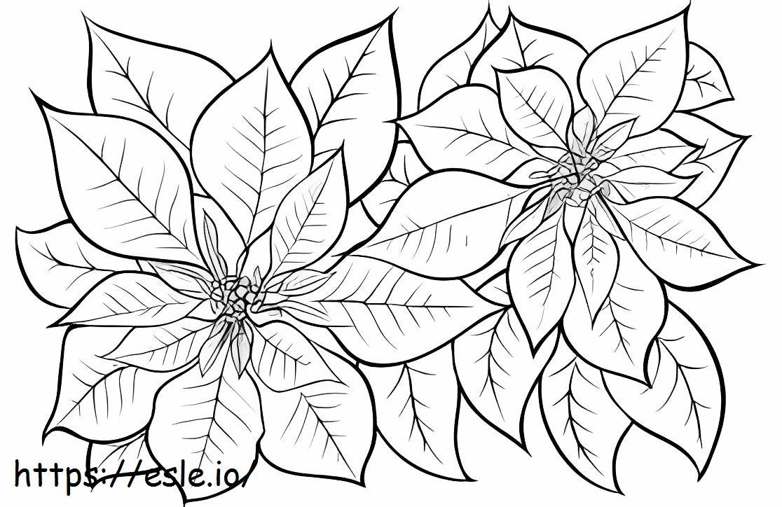 Coloriage Poinsettia Normal à imprimer dessin