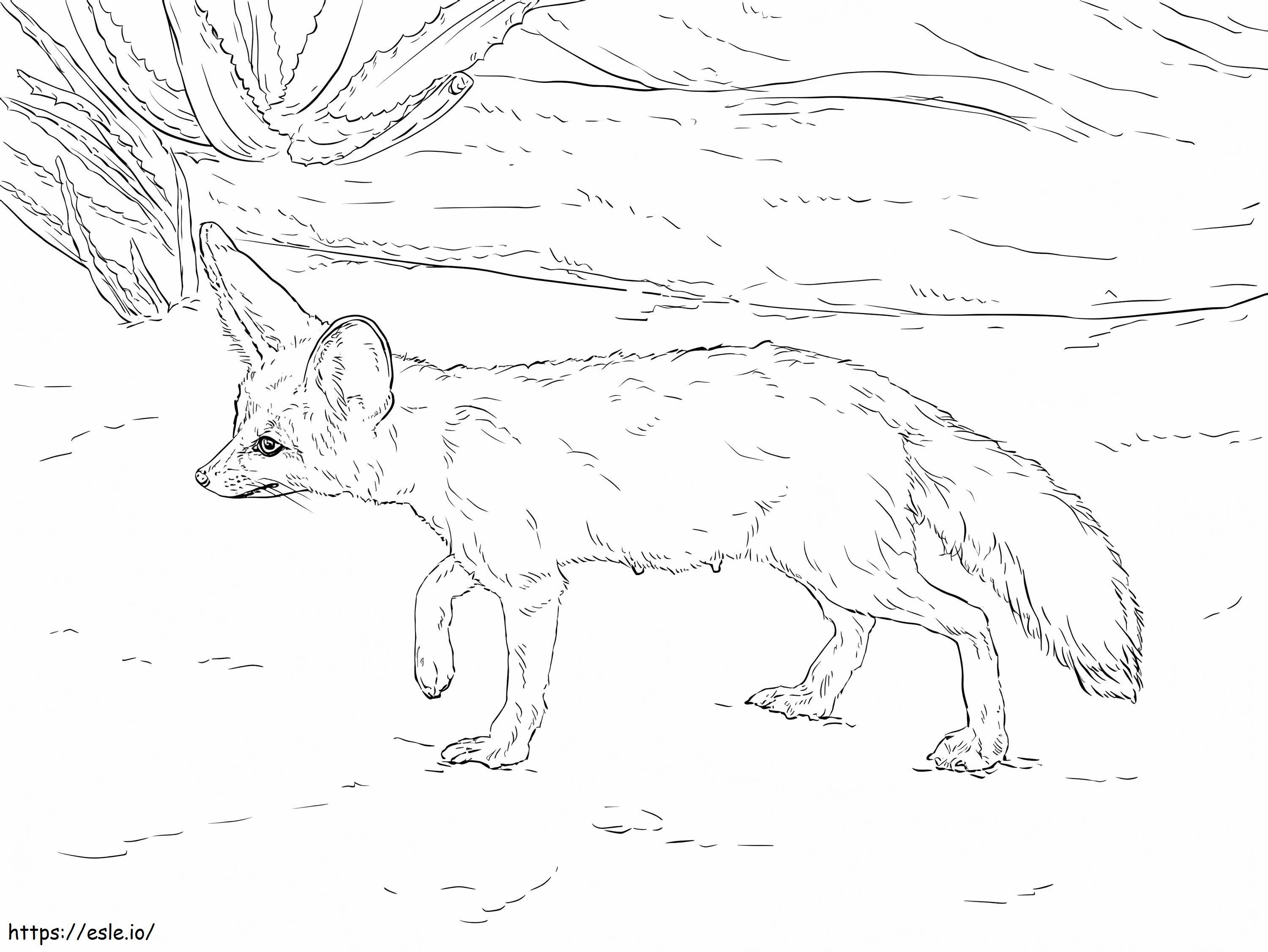 Curiosa volpe Fennec da colorare