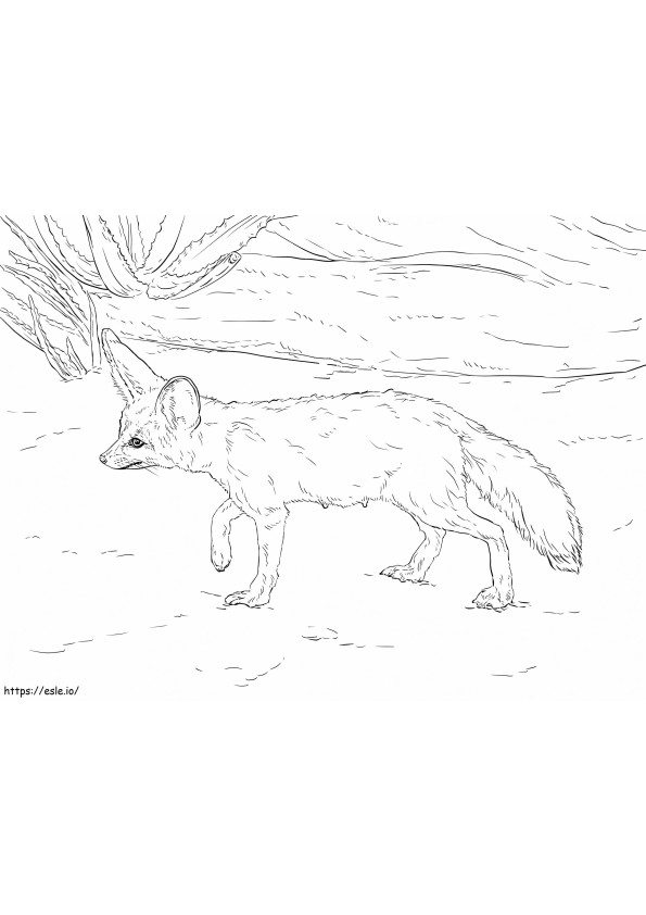 Curious Fennec Fox coloring page
