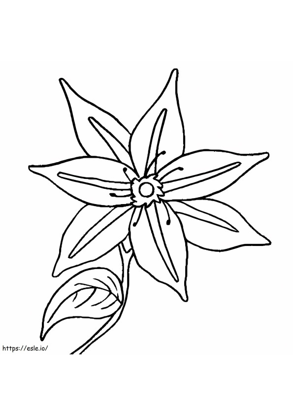 Basic Clematis coloring page