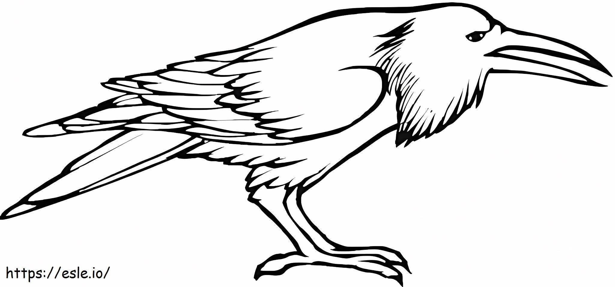 Great Raven coloring page