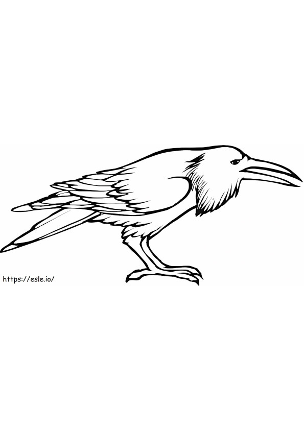 Coloriage Grand Corbeau à imprimer dessin