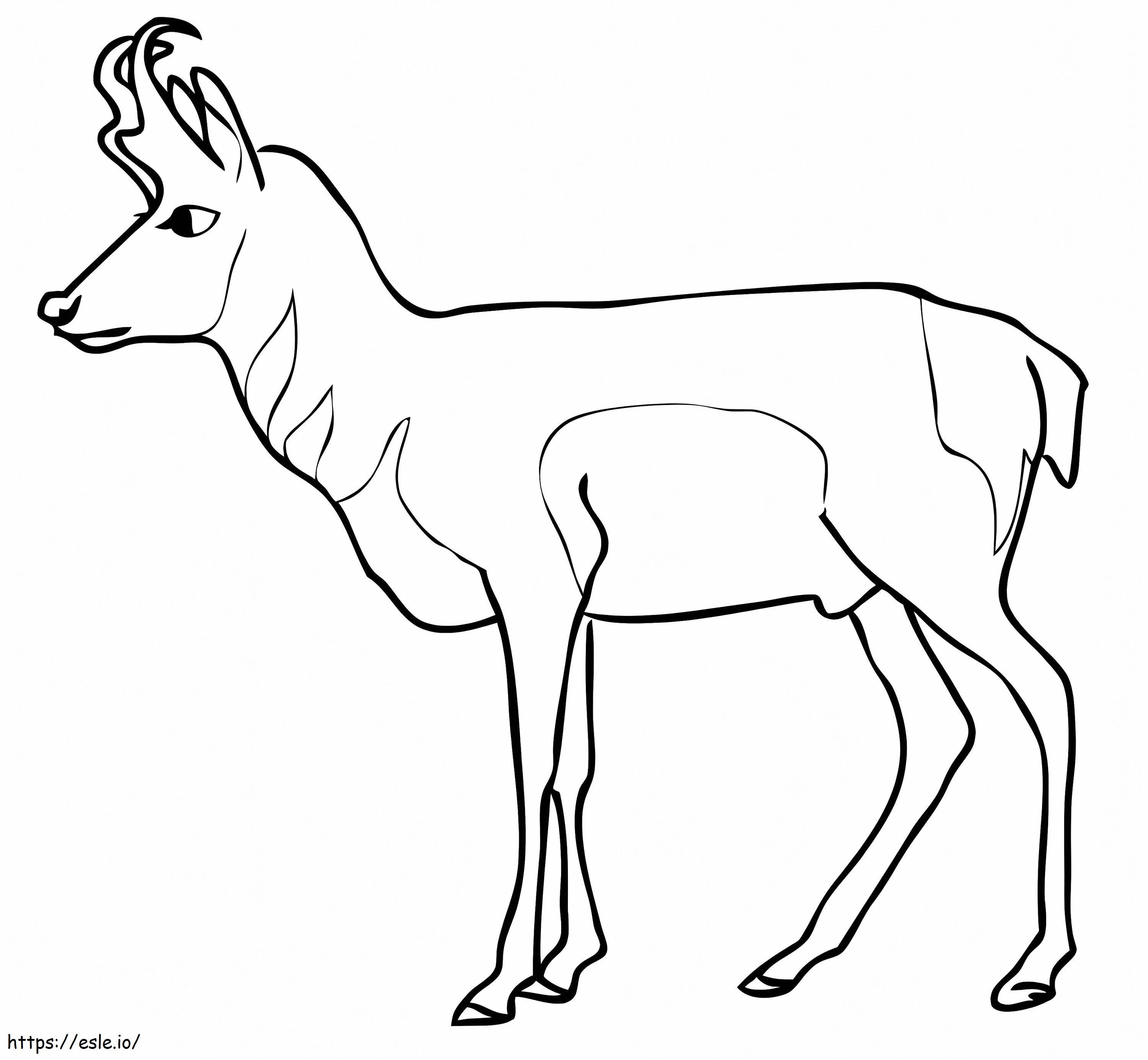 Gaffelbok antilope kleurplaat kleurplaat