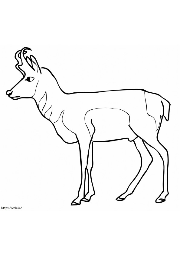 Gaffelbok antilope kleurplaat