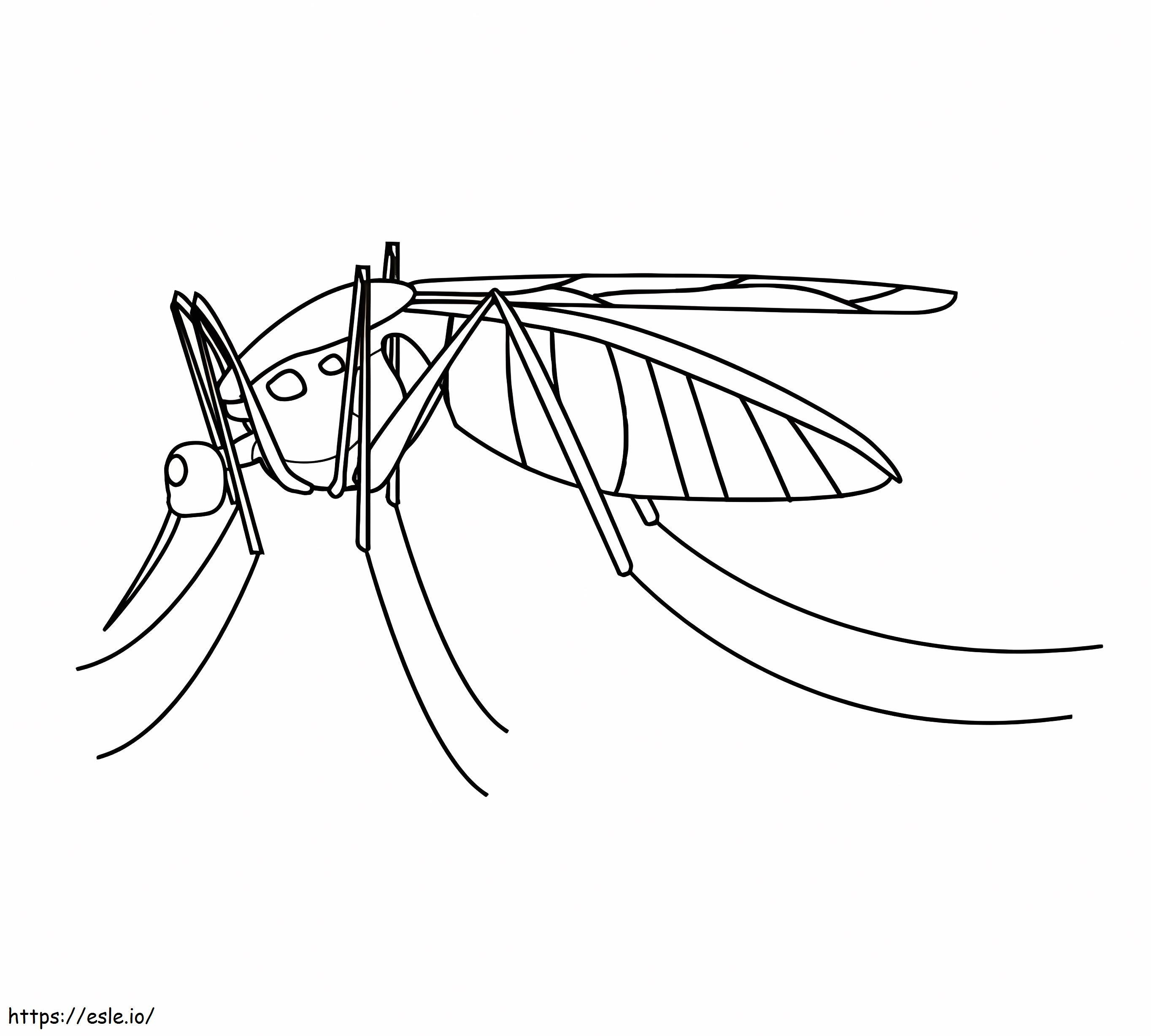 Mosquito 4 coloring page
