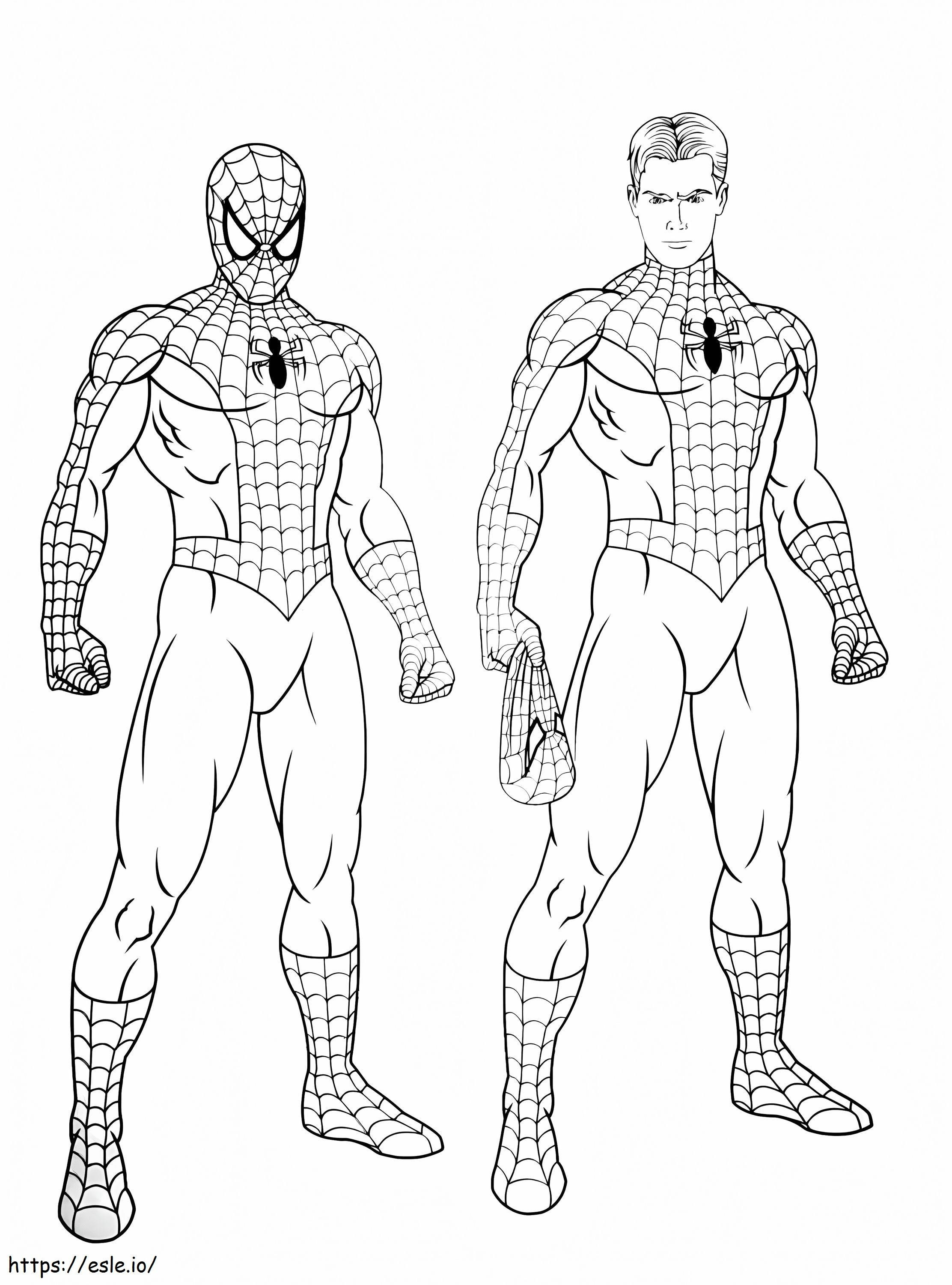 Spiderman Peter Parker 759X1024 para colorear