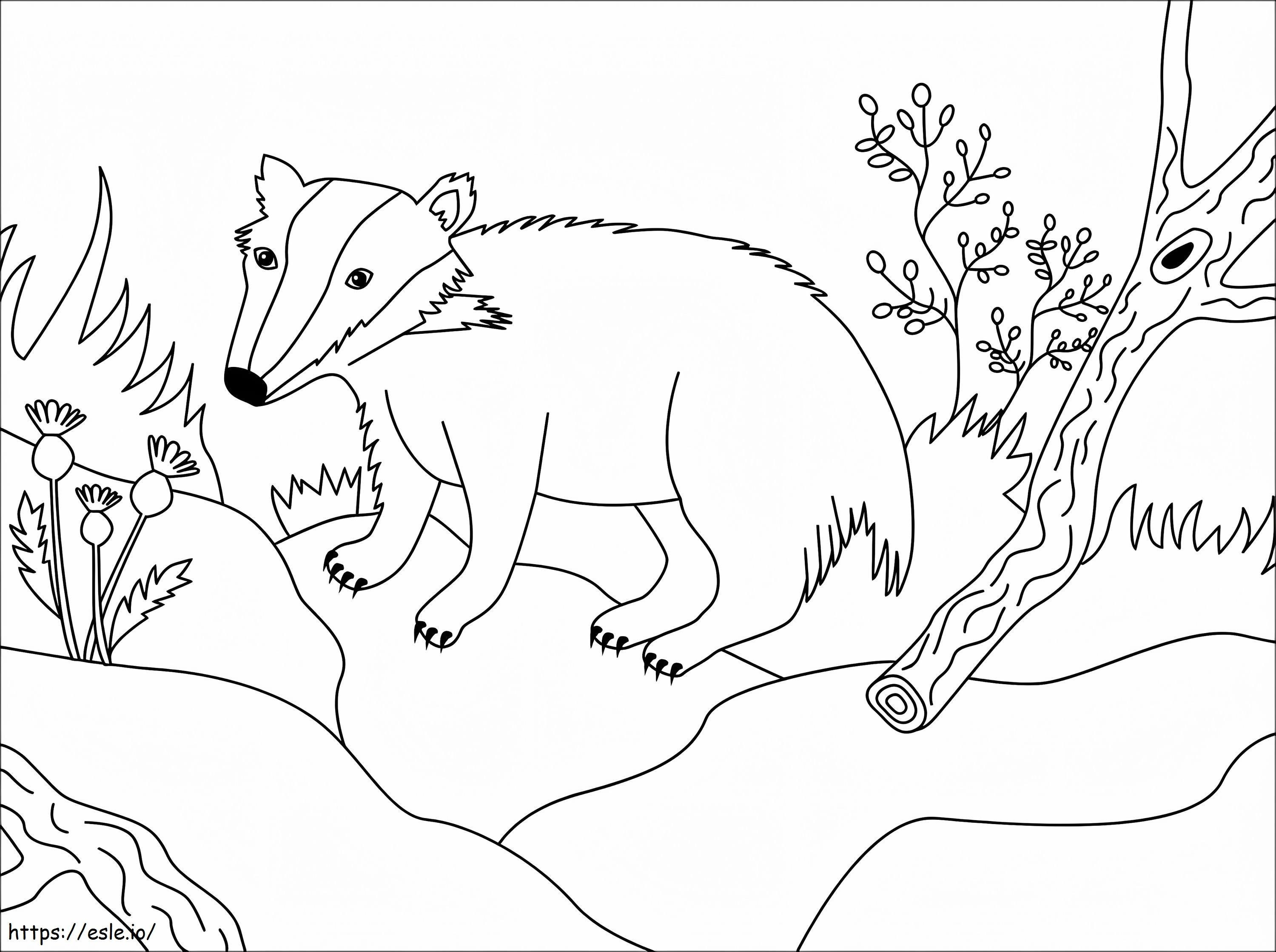 Simple Badger coloring page