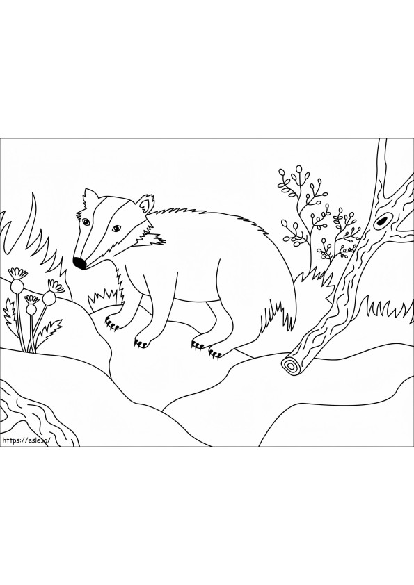 Simple Badger coloring page