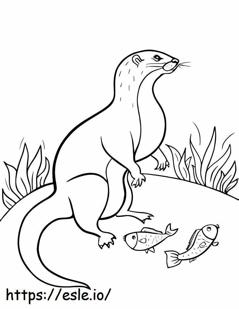 Otter And Two Fish coloring page