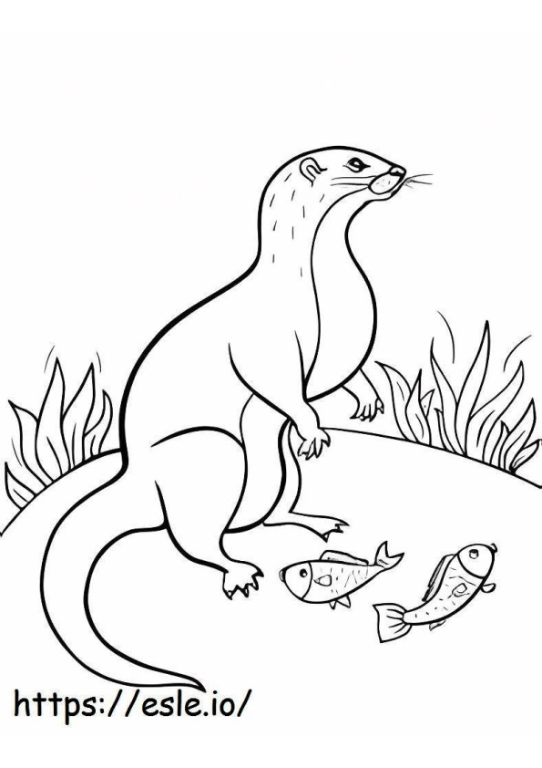 Otter And Two Fish coloring page