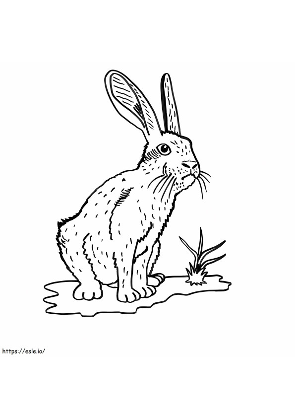 Rabbit Waiting For His Friend coloring page