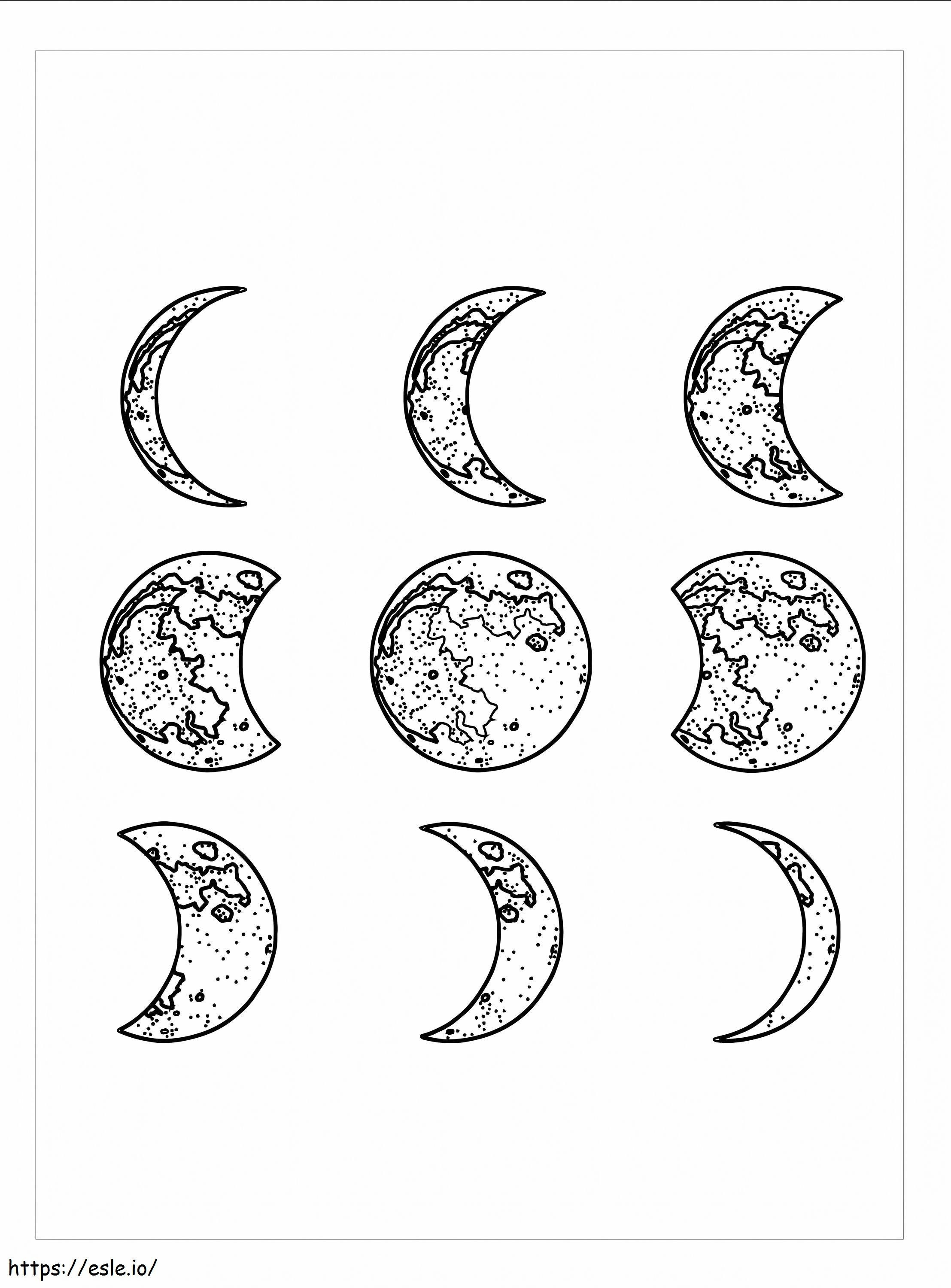 Moon Phases coloring page