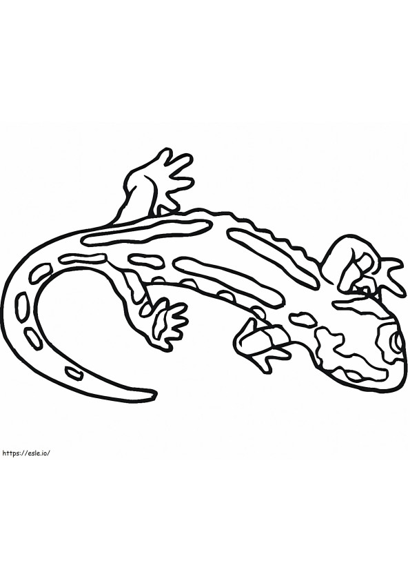 Salamander 6 coloring page
