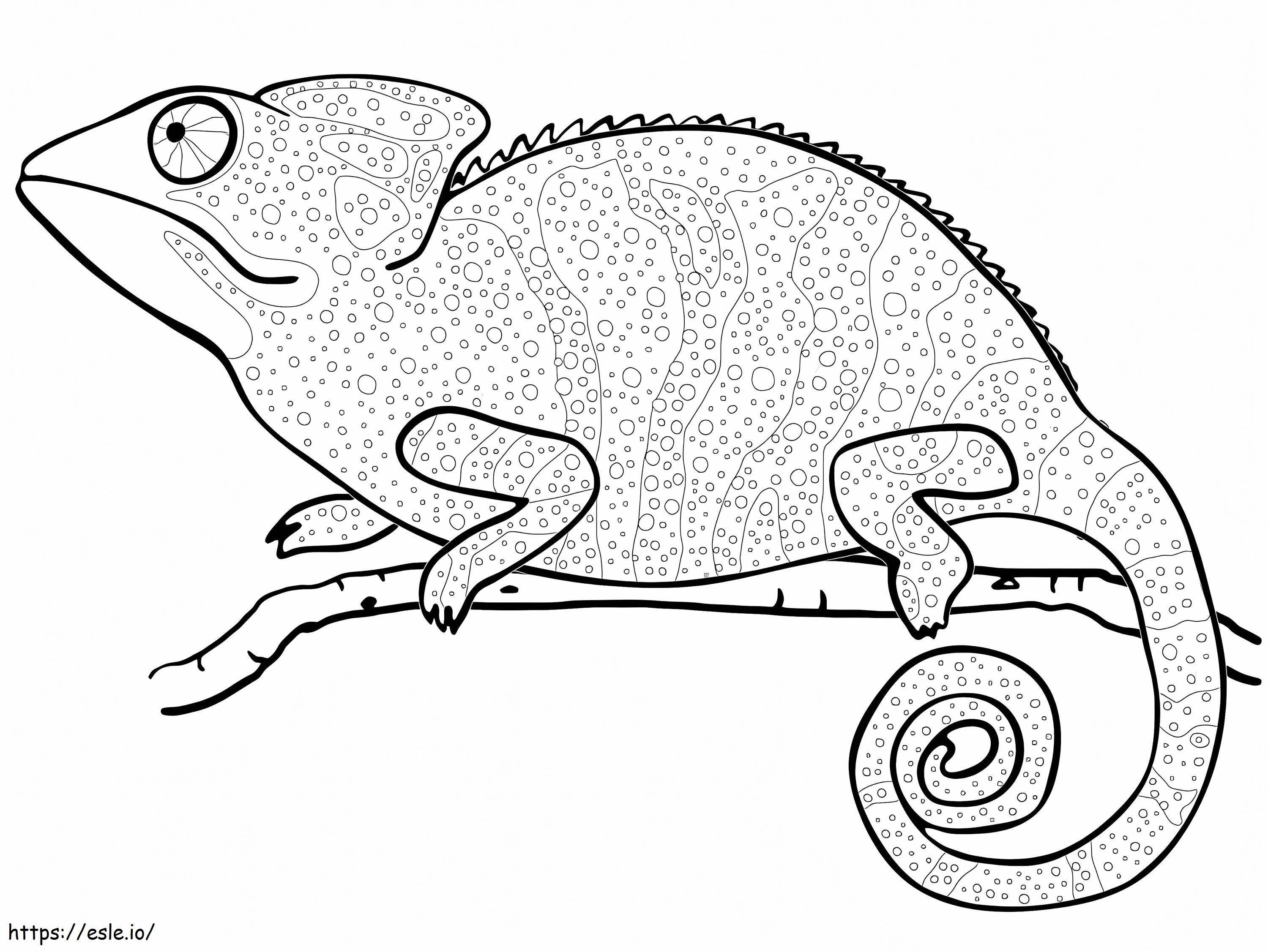 A Chameleon coloring page