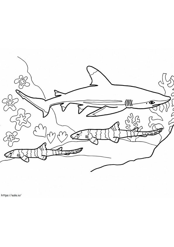 1541378884 3D6D27E74Be4C2B320Ee3Bc0F88F9Bba coloring page