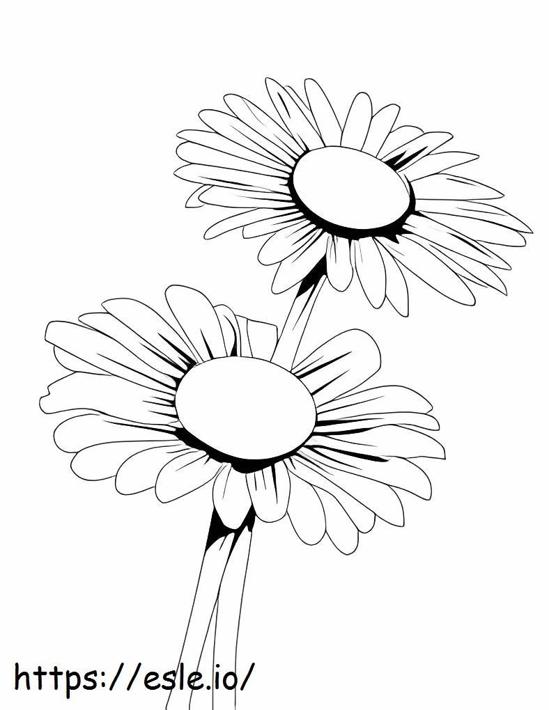 Bunch Of Daisies coloring page