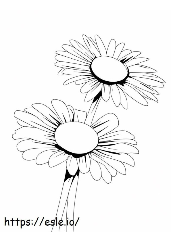 Bunch Of Daisies coloring page