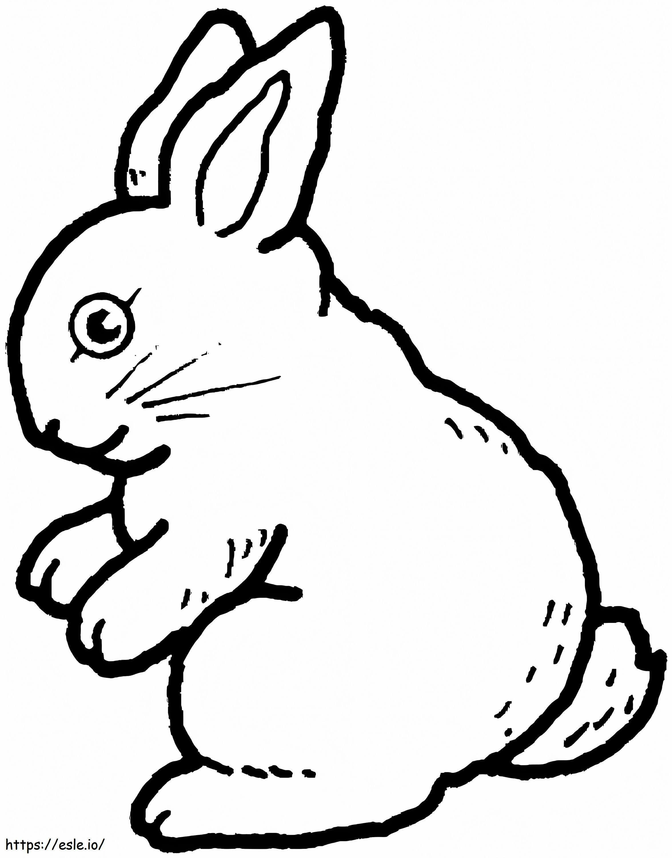 Mały królik kolorowanka