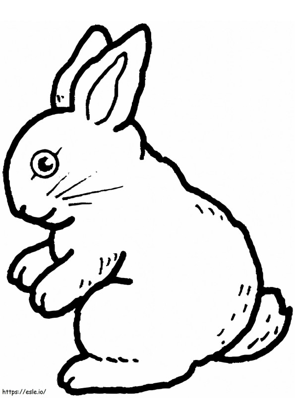 Mały królik kolorowanka