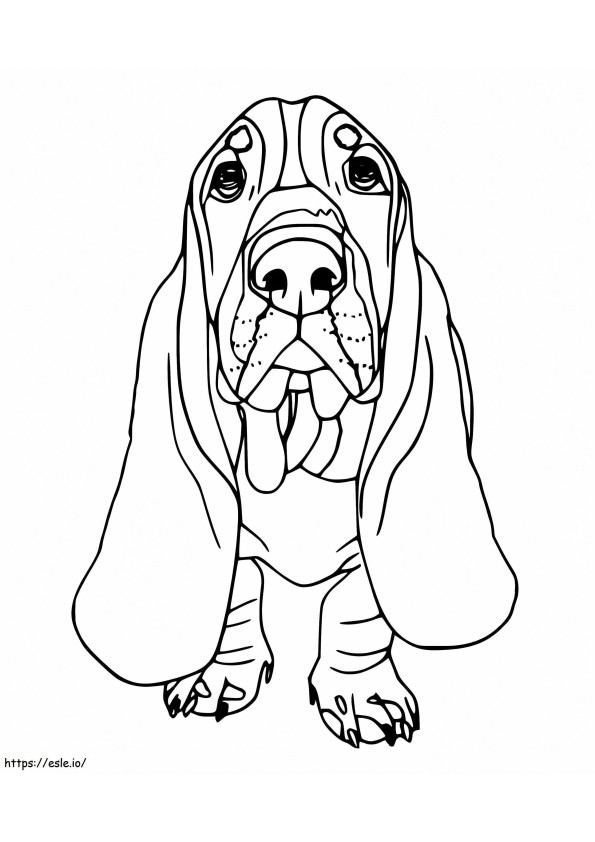 Basset Hound To Print coloring page